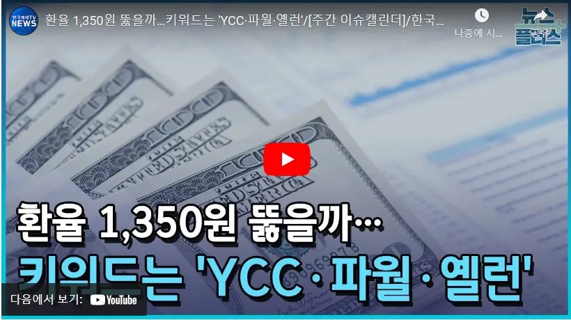 환율 관련 영상