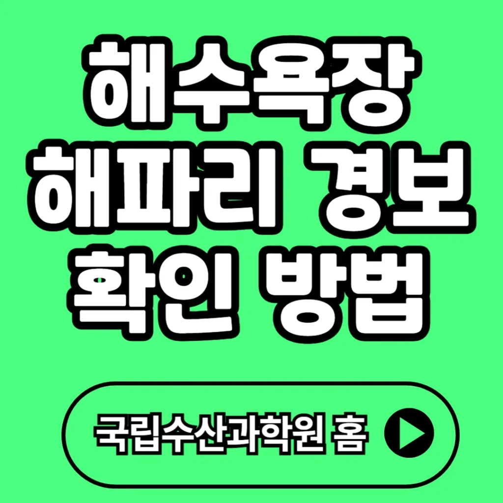 해수욕장 해파리 경보 확인 방법 2025(+경보단계, 응급처 등)