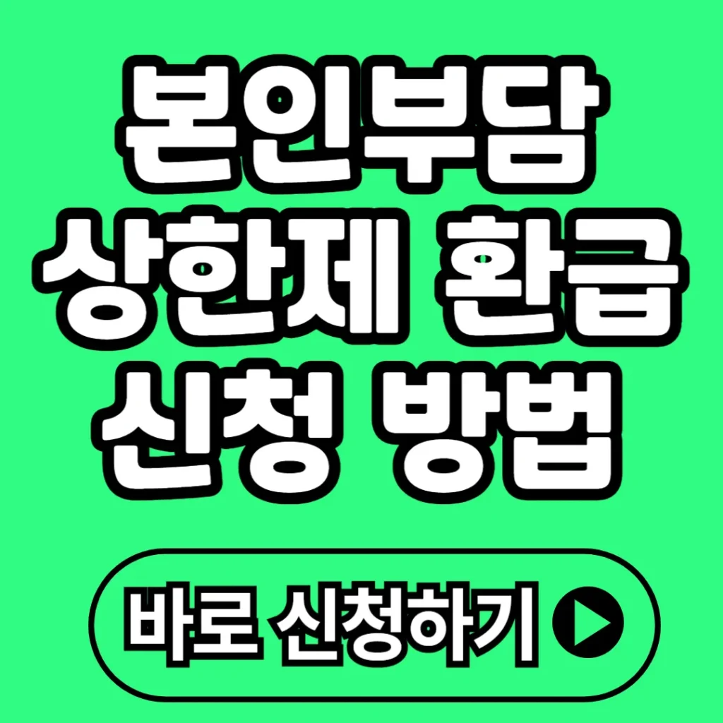 본인부담상한제 환급 신청 방법 총정리 2025(+조회, 지급일, 대상 등)